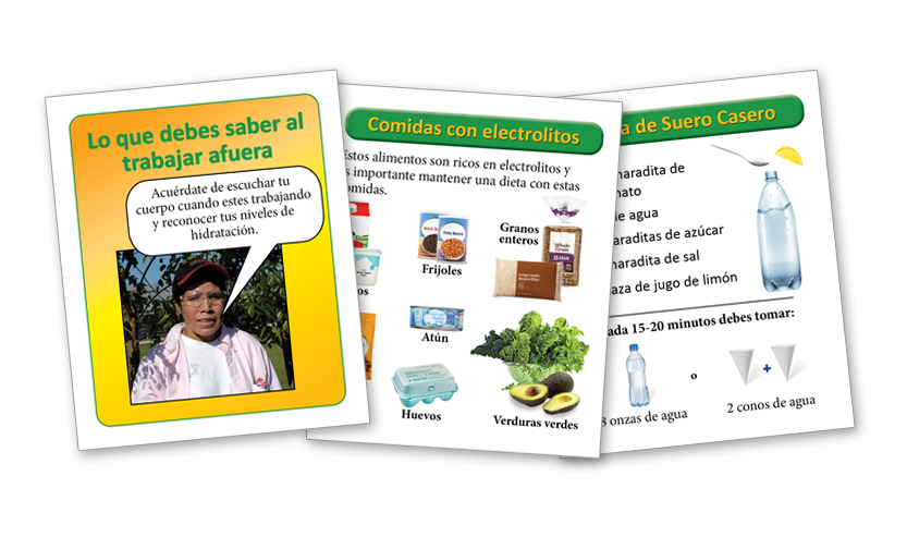Electrolytes Brochure